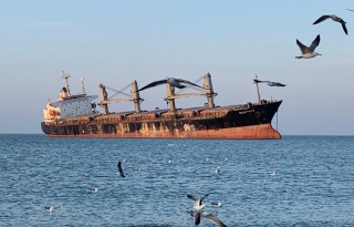 新增公廁！布魯維斯號周邊配套設施上新